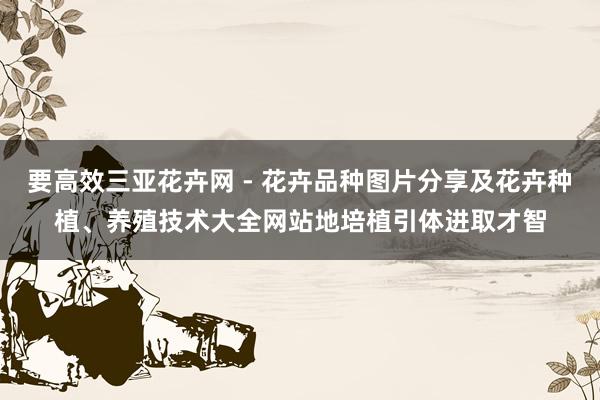 要高效三亚花卉网 - 花卉品种图片分享及花卉种植、养殖技术大全网站地培植引体进取才智