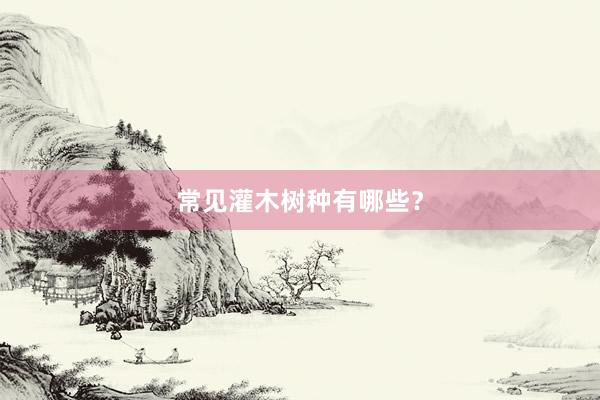 常见灌木树种有哪些？